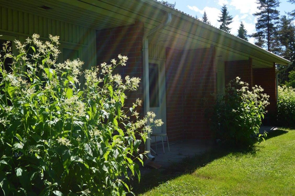 Hotelli Ravintola Tiilikka Rautavaara Luaran gambar
